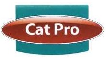 Регистрация товарного знака "Cat Pro"