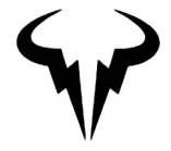 Регистрация товарного знака Nike International Ltd
